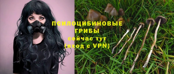 тгк Покровск