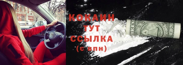 стафф Покачи