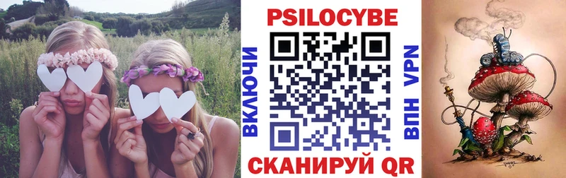 Псилоцибиновые грибы прущие грибы  цена   Кострома 