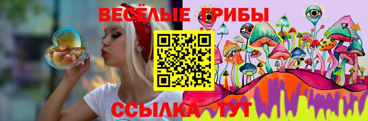 Галлюциногенные грибы MAGIC MUSHROOMS  Вход с VPN  Кострома 