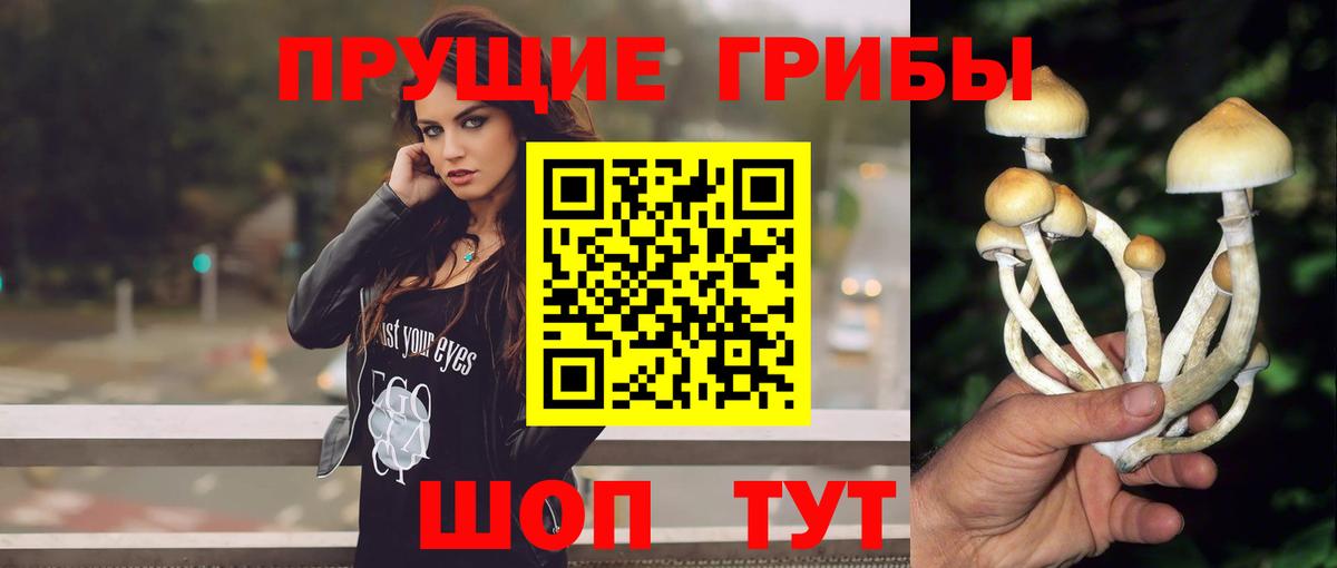 Псилоцибиновые грибы мухоморы Кострома